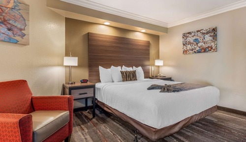 Suite, 1 cama de matrimonio grande, accesible para personas con discapacidad (with Sofabed)