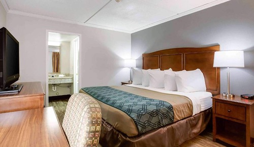 Suite, 1 cama de matrimonio grande, no fumadores (Efficiency, Pet-friendly)