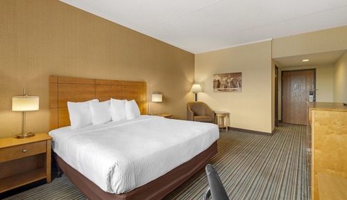 Habitación estándar, 1 cama de matrimonio grande, no fumadores (Pet Friendly)