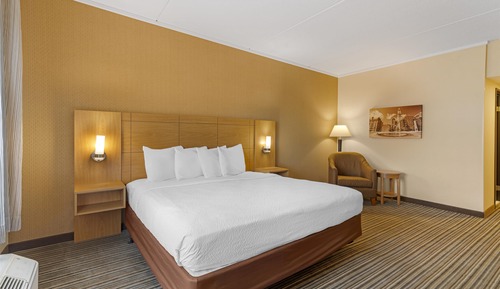 Habitación Deluxe, 1 cama de matrimonio grande, no fumadores, frigorífico y microondas