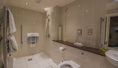 Classic Accessible Double Room