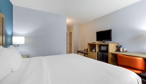 Habitación, 1 cama de matrimonio grande, no fumadores (Pet Friendly)