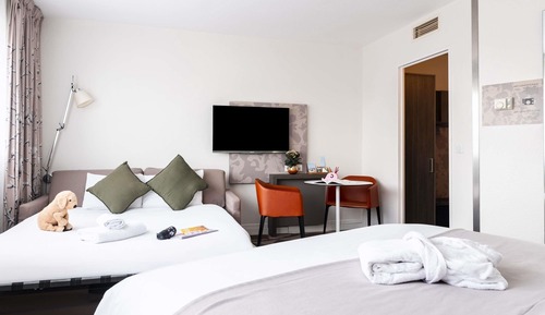 Privilege, Habitación, 1 cama doble con sofá cama