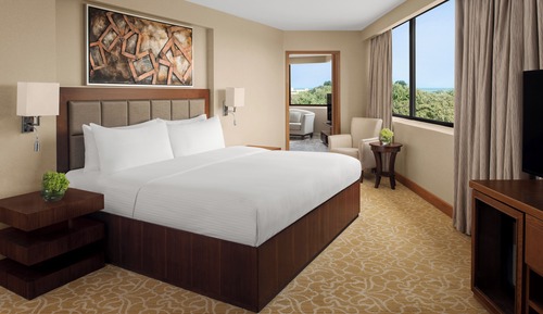 Suite presidencial
