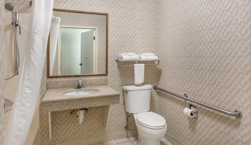 Habitación, 1 cama de matrimonio, accesible para personas con discapacidad, no fumadores