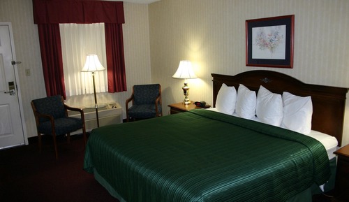 Habitación estándar, 1 cama de matrimonio grande, no fumadores