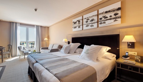 Habitación Deluxe