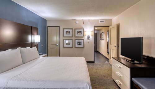 Habitación estándar, 1 cama de matrimonio grande (Communications, Roll-In Shower)