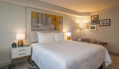 Habitación, 1 cama de matrimonio grande