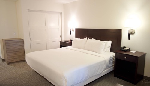 Suite, 1 cama de matrimonio grande, no fumadores