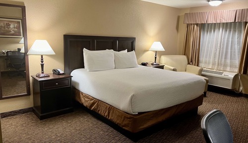 Habitación estándar, 1 cama de matrimonio grande, no fumadores (Walk-in Shower)