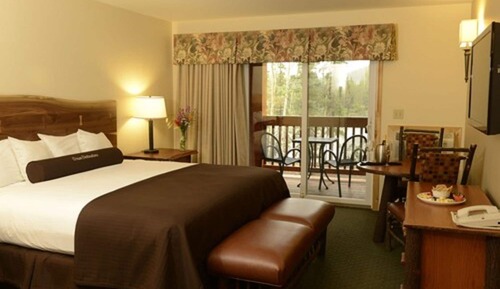 Habitación, 1 cama de matrimonio grande