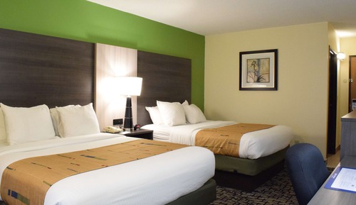 Habitación estándar, 2 camas de matrimonio, no fumadores (Shower Only)