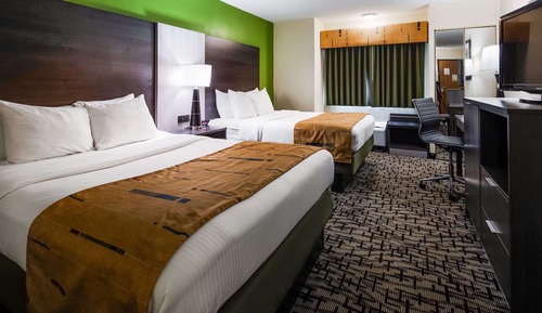 Habitación estándar, 2 camas de matrimonio, no fumadores (Walk-in Shower)