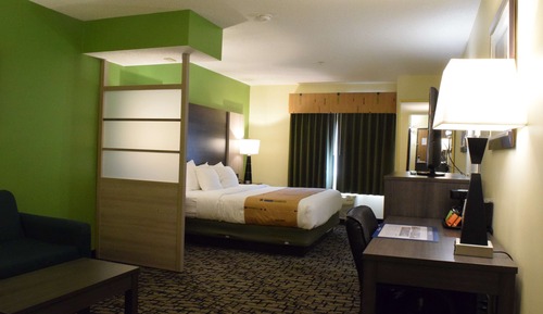 Suite, 1 cama de matrimonio grande, no fumadores, frigorífico y microondas (Shower Only)