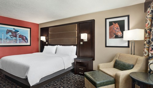 Habitación estándar, 1 cama de matrimonio grande, bañera accesible, no fumadores (Communications)