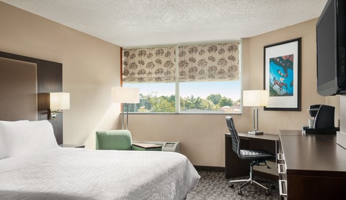 Habitación estándar, 1 cama de matrimonio grande