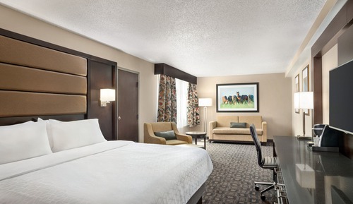 Suite, 1 cama de matrimonio grande