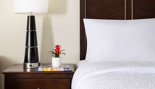 Suite familiar, 1 cama de matrimonio grande, no fumadores