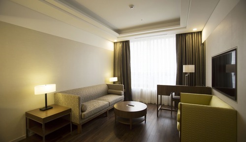 Premier Suite Double Room