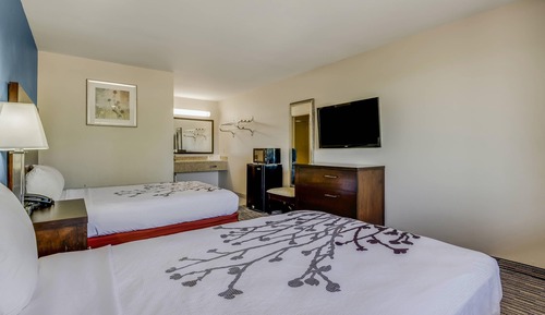 Habitación estándar, 2 camas dobles, fumadores