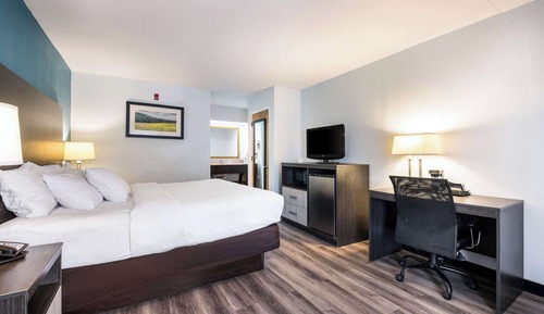 Habitación estándar, 1 cama de matrimonio grande, no fumadores