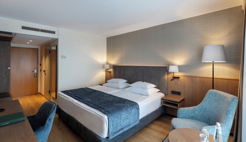 Habitación con 1 cama doble o 2 individuales, vistas al jardín (Single Use)