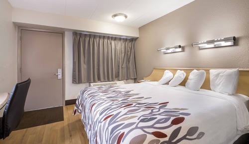 Habitación estándar, 1 cama de matrimonio grande (Smoke Free)