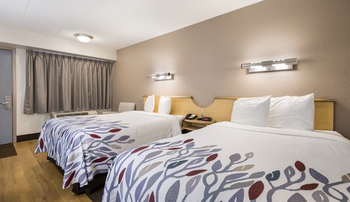 Habitación estándar, 2 camas dobles (Smoke Free)