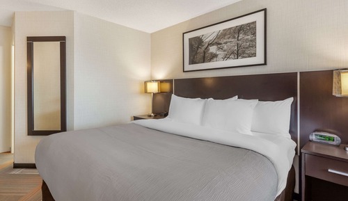 Habitación estándar, 1 cama de matrimonio grande, no fumadores