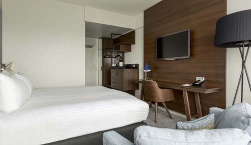 Habitación ejecutiva, 1 cama de matrimonio grande