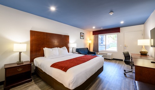 Habitación estándar, 1 cama de matrimonio grande, no fumadores, frigorífico y microondas