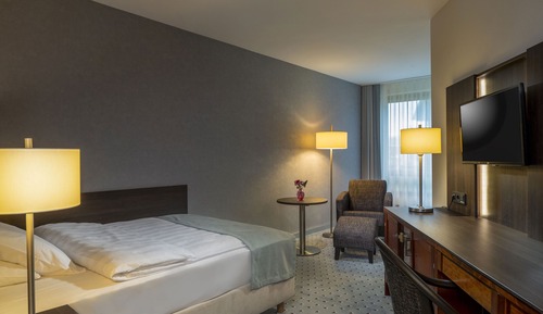 Habitación individual clásica