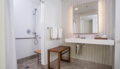 Habitación, 1 cama de matrimonio grande, ducha adaptada (Mobility Accessible)