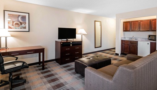 Executive Studio Suite, 1 King Bed with Sofa bed