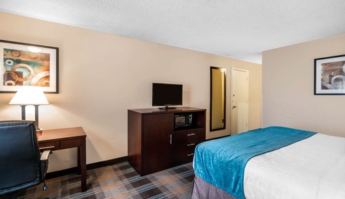 Basic Single Room, 1 King Bed