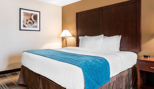 Deluxe Single Room, 1 King Bed