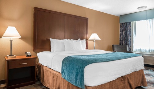 Basic Single Room, 1 Queen Bed