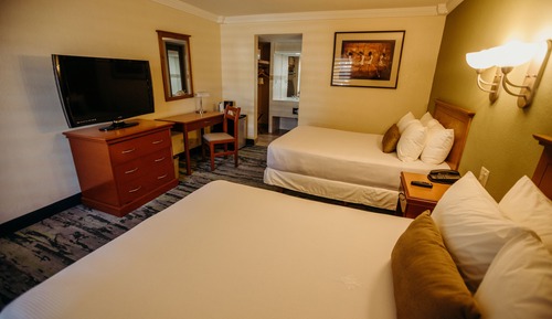 Habitación estándar doble, 2 camas dobles