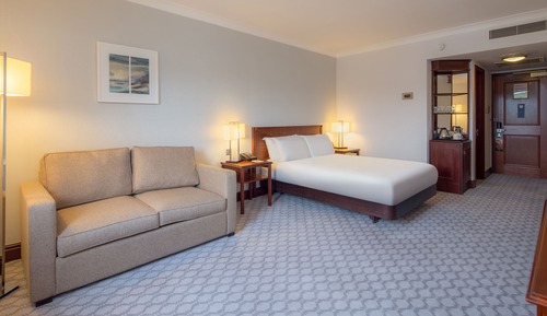 Habitación familiar, 1 cama doble (Deluxe)