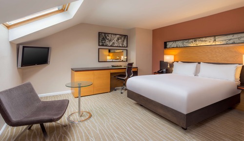 Habitación Deluxe, 1 cama de matrimonio