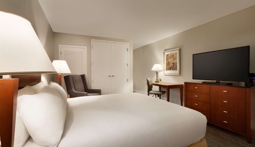 Suite, 1 cama de matrimonio grande con sofá cama