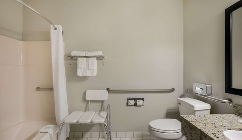 Suite, 1 cama de matrimonio, accesible para personas con discapacidad, no fumadores (Efficiency)