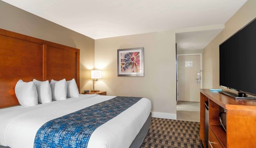 Habitación estándar, 1 cama de matrimonio grande, frigorífico y microondas (Walk-in Shower)