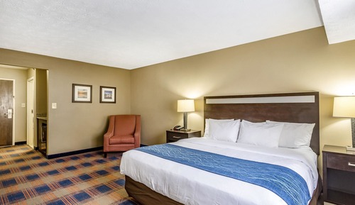 Habitación, 1 cama de matrimonio grande, accesible para personas con discapacidad (Roll-In Shower)