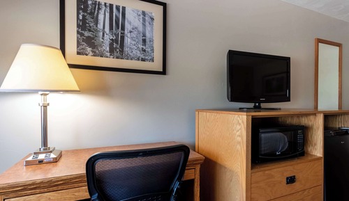 Suite, varias camas, no fumadores, frigorífico y microondas (with Sofabed)