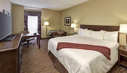 Habitación ejecutiva, 1 cama de matrimonio grande, no fumadores, frigorífico (Walk-in Shower)