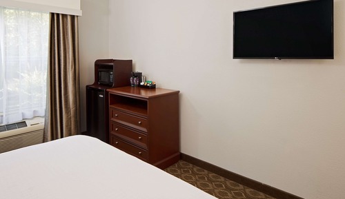 Habitación, 1 cama de matrimonio grande (Roll-in Shower)