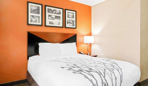 Habitación estándar, 1 cama de matrimonio, no fumadores