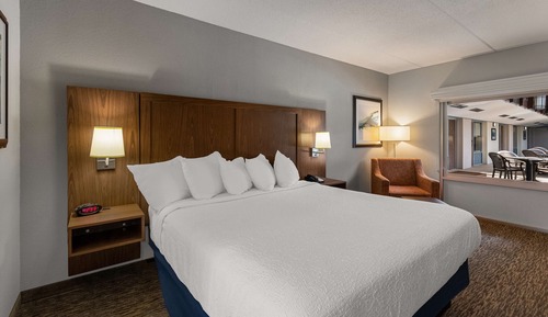 Habitación estándar, 1 cama de matrimonio grande, accesible para personas con discapacidad